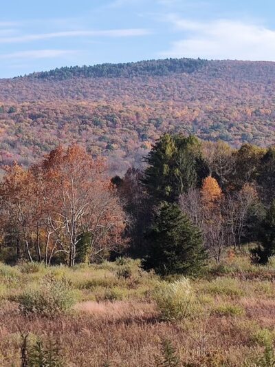Winding Waters Trail - Westtown, NY