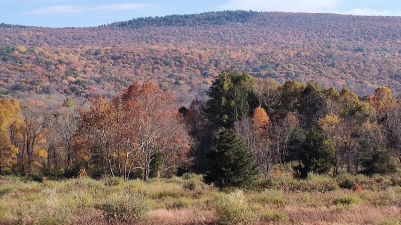 Winding Waters Trail - Westtown, NY