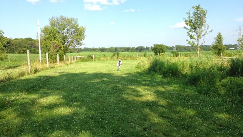 Bluhm County Park - Westville, IN