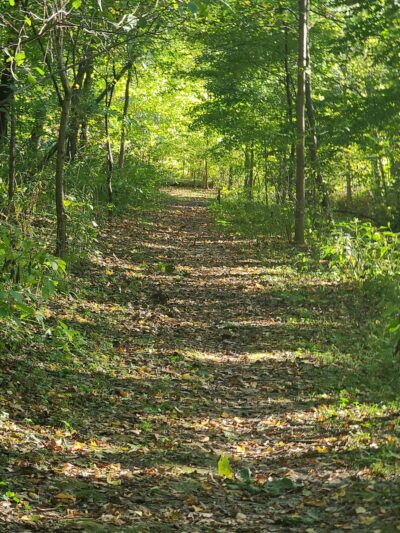 Bluhm County Park - Westville, IN