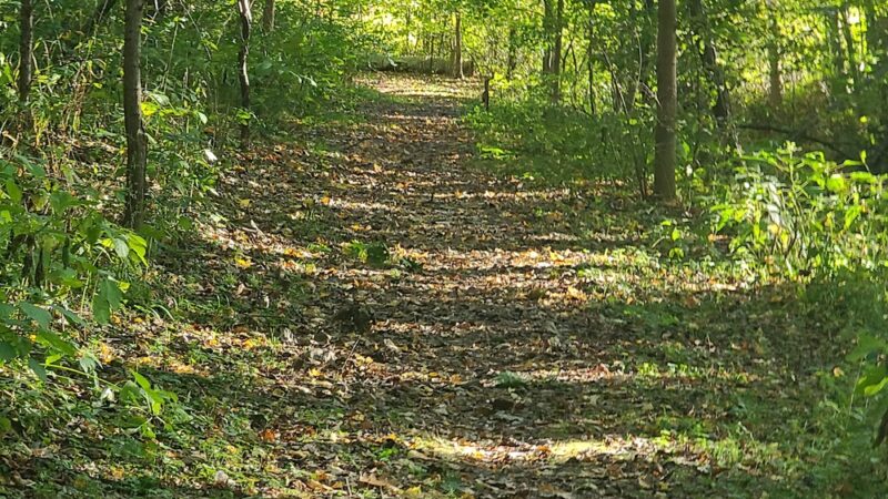 Bluhm County Park - Westville, IN