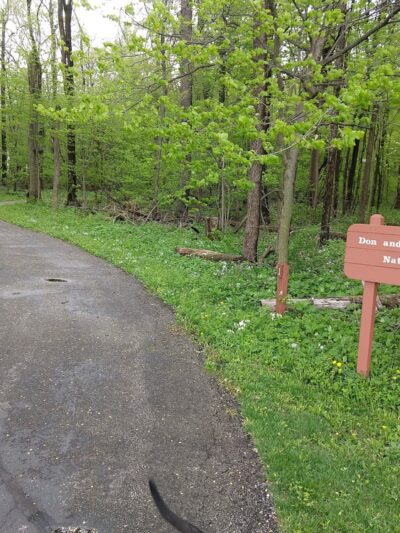 Bluhm County Park - Westville, IN