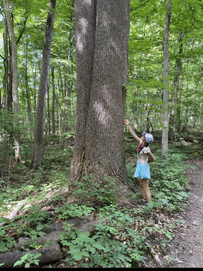 Zona Wildlife Sanctuary - Westville, IN