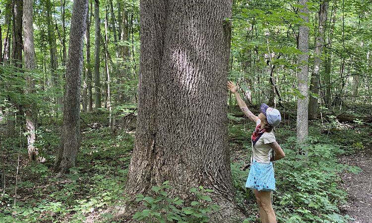 Zona Wildlife Sanctuary - Westville, IN