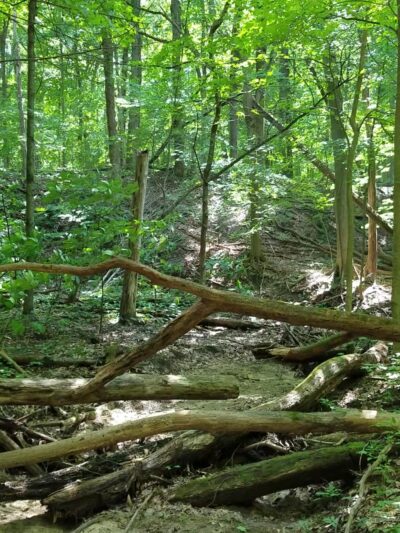 Zona Wildlife Sanctuary - Westville, IN