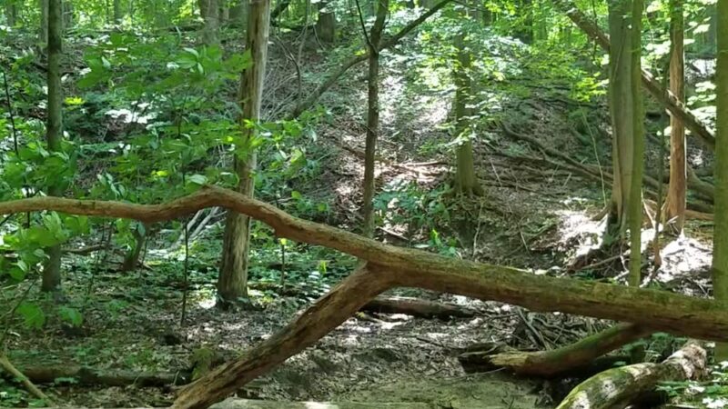 Zona Wildlife Sanctuary - Westville, IN