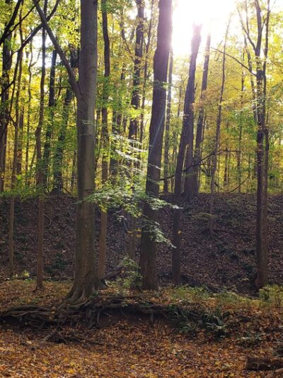 Zona Wildlife Sanctuary - Westville, IN