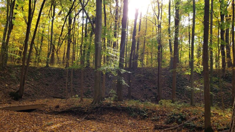 Zona Wildlife Sanctuary - Westville, IN