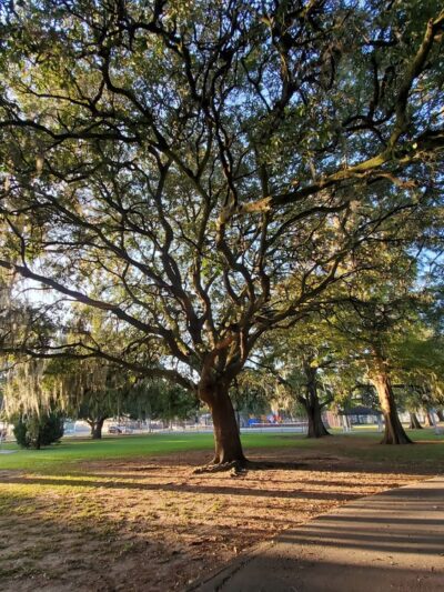 Westwego Park - Westwego, LA