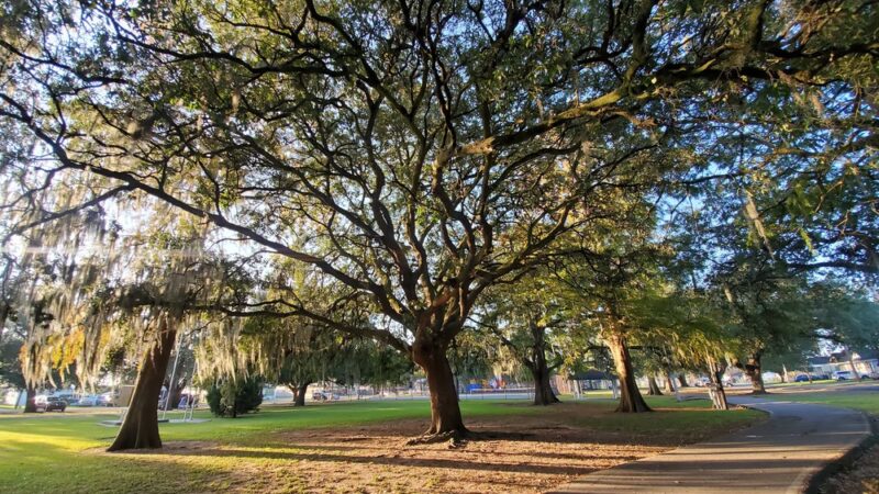Westwego Park - Westwego, LA