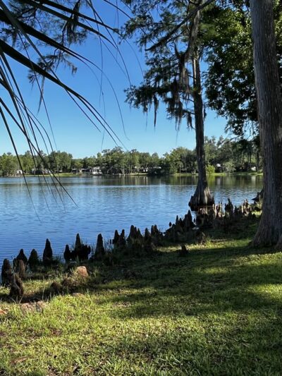 Lake Alice Park-no dogs allowed - Wewahitchka, FL