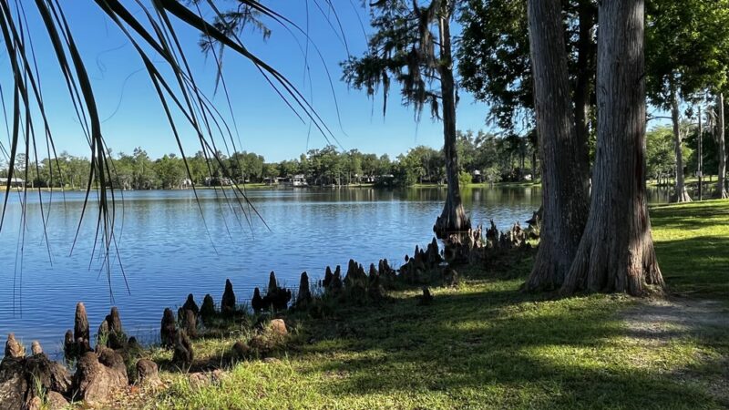 Lake Alice Park-no dogs allowed - Wewahitchka, FL