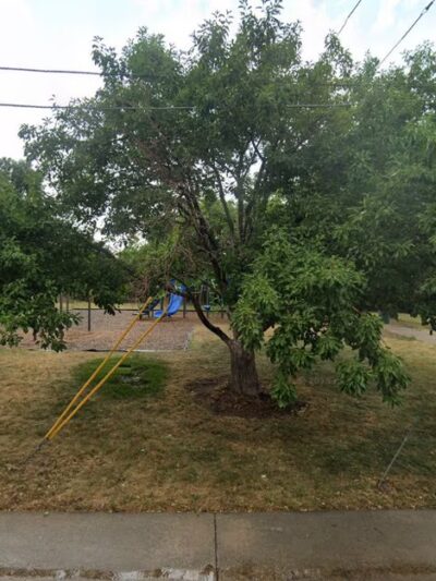 Bonnie's Park - Wheat Ridge, CO