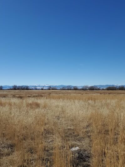 Trail Head - Wheat Ridge, CO