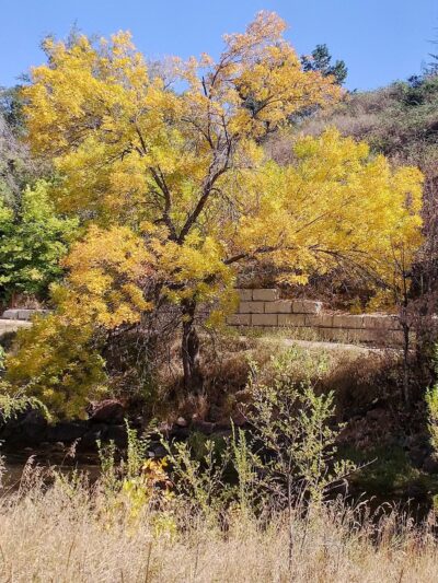 Boyd's Crossing Park - Wheat Ridge, CO