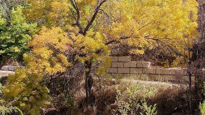 Boyd's Crossing Park - Wheat Ridge, CO
