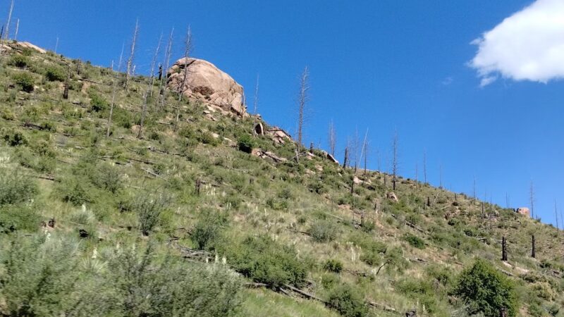 Founders Park - Wheat Ridge, CO