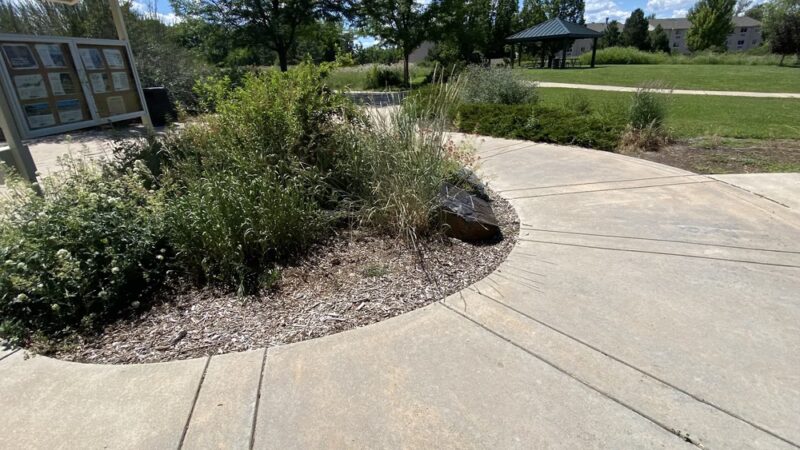 Founders Park - Wheat Ridge, CO