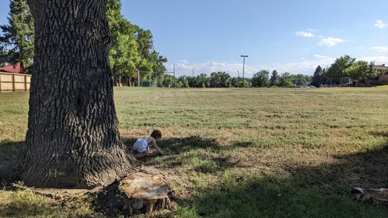 Hayward Park - Wheat Ridge, CO