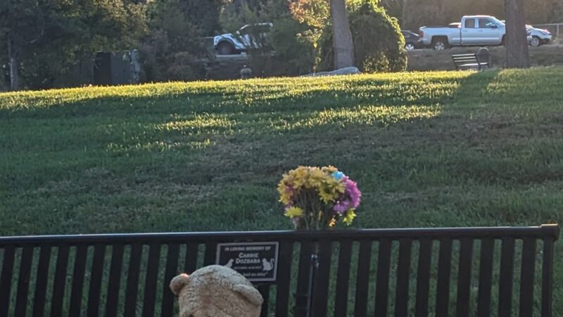 Hayward Park - Wheat Ridge, CO