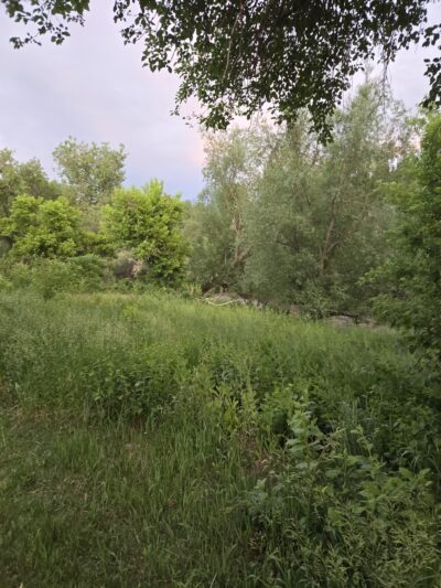 Kipling Trailhead - Wheat Ridge, CO