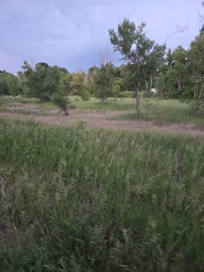 Kipling Trailhead - Wheat Ridge, CO