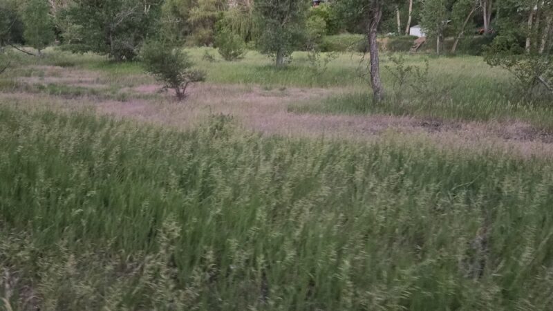Kipling Trailhead - Wheat Ridge, CO