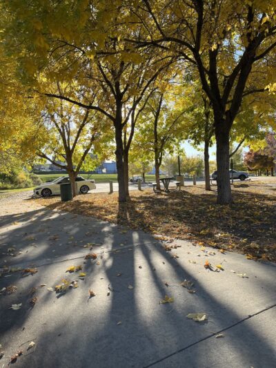 Manwaring field - Wheat Ridge, CO