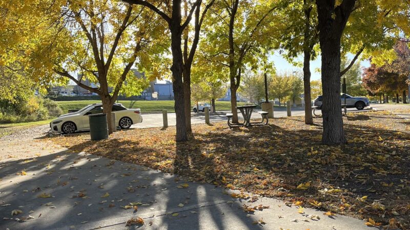 Manwaring field - Wheat Ridge, CO