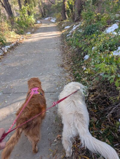 Otis St Trailhead - Wheat Ridge, CO