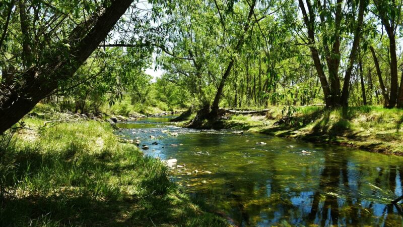 Wheat Ridge Greenbelt Open Space - Wheat Ridge, CO