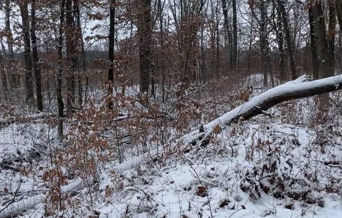 Stoutsburg Savanna Nature Preserve - Wheatfield, IN