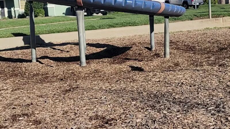 McDevitt Park - Wheatland, CA
