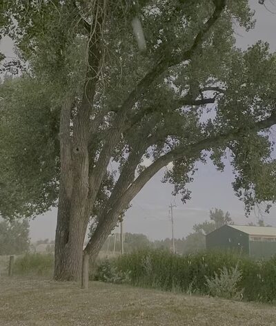Lewis Park - Wheatland, WY