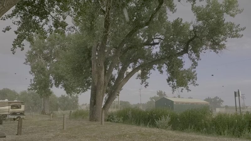Lewis Park - Wheatland, WY