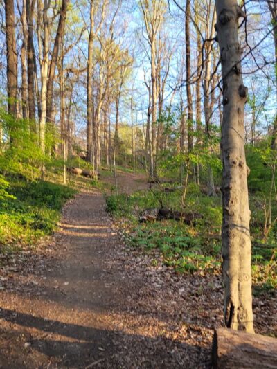 Wheaton Claridge Local Park - Wheaton, MD
