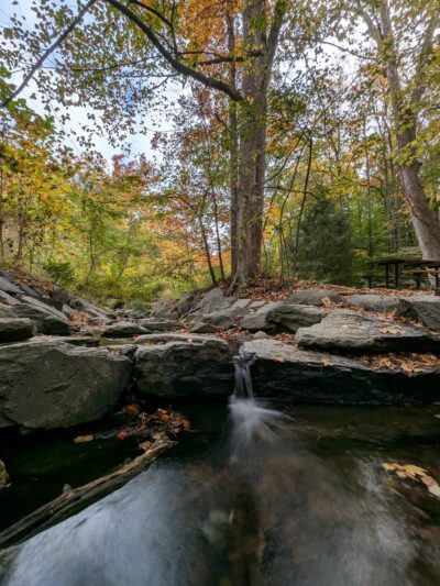 Wheaton Claridge Local Park - Wheaton, MD