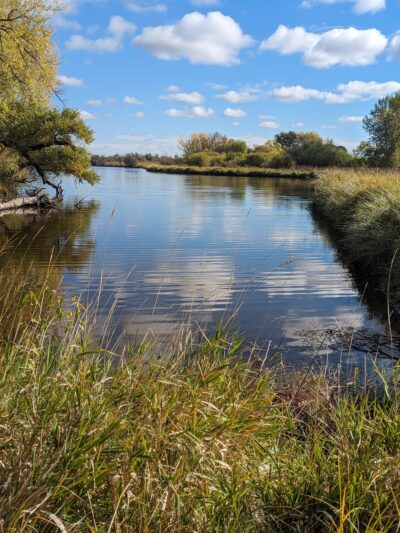 County Park - Wheaton, MN