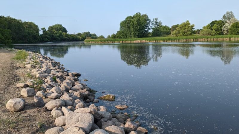 County Park - Wheaton, MN