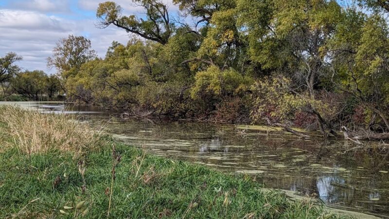 County Park - Wheaton, MN