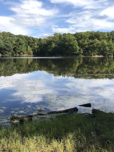 Bee Meadow Park - Whippany, NJ