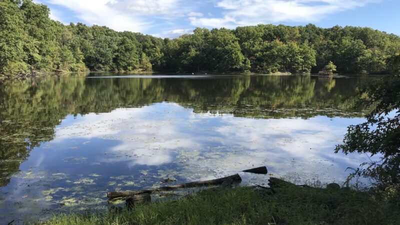 Bee Meadow Park - Whippany, NJ