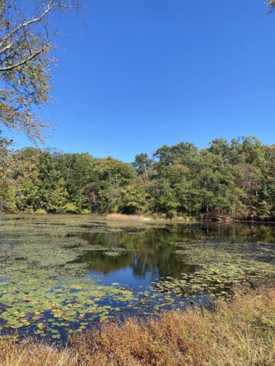 Bee Meadow Park - Whippany, NJ