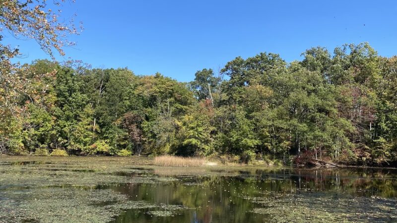 Bee Meadow Park - Whippany, NJ