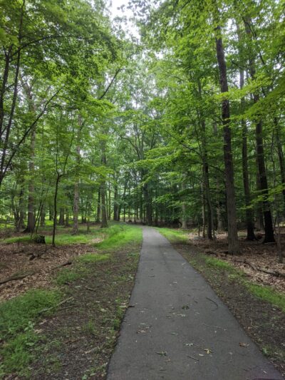 Bee Meadow Park - Whippany, NJ