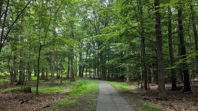 Bee Meadow Park - Whippany, NJ