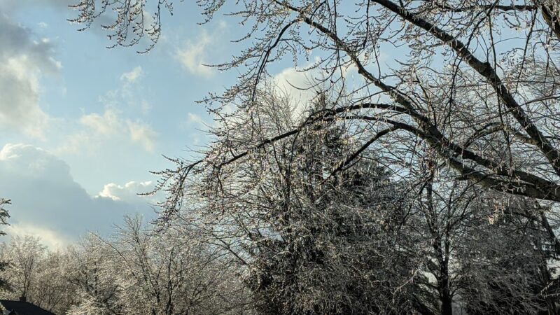 Black Brook Park - Whippany, NJ