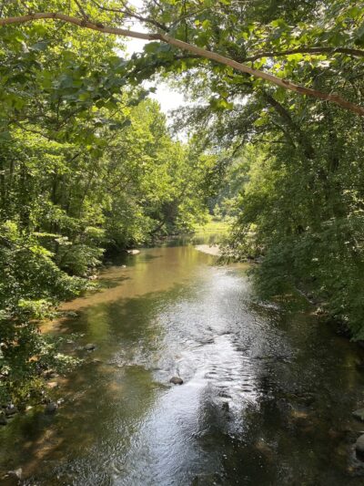 Central Park - Whippany, NJ