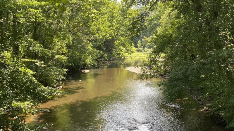 Central Park - Whippany, NJ