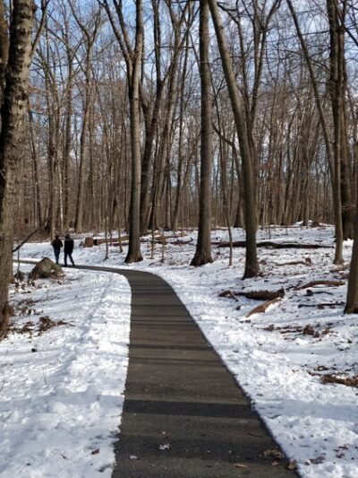 Central Park - Whippany, NJ